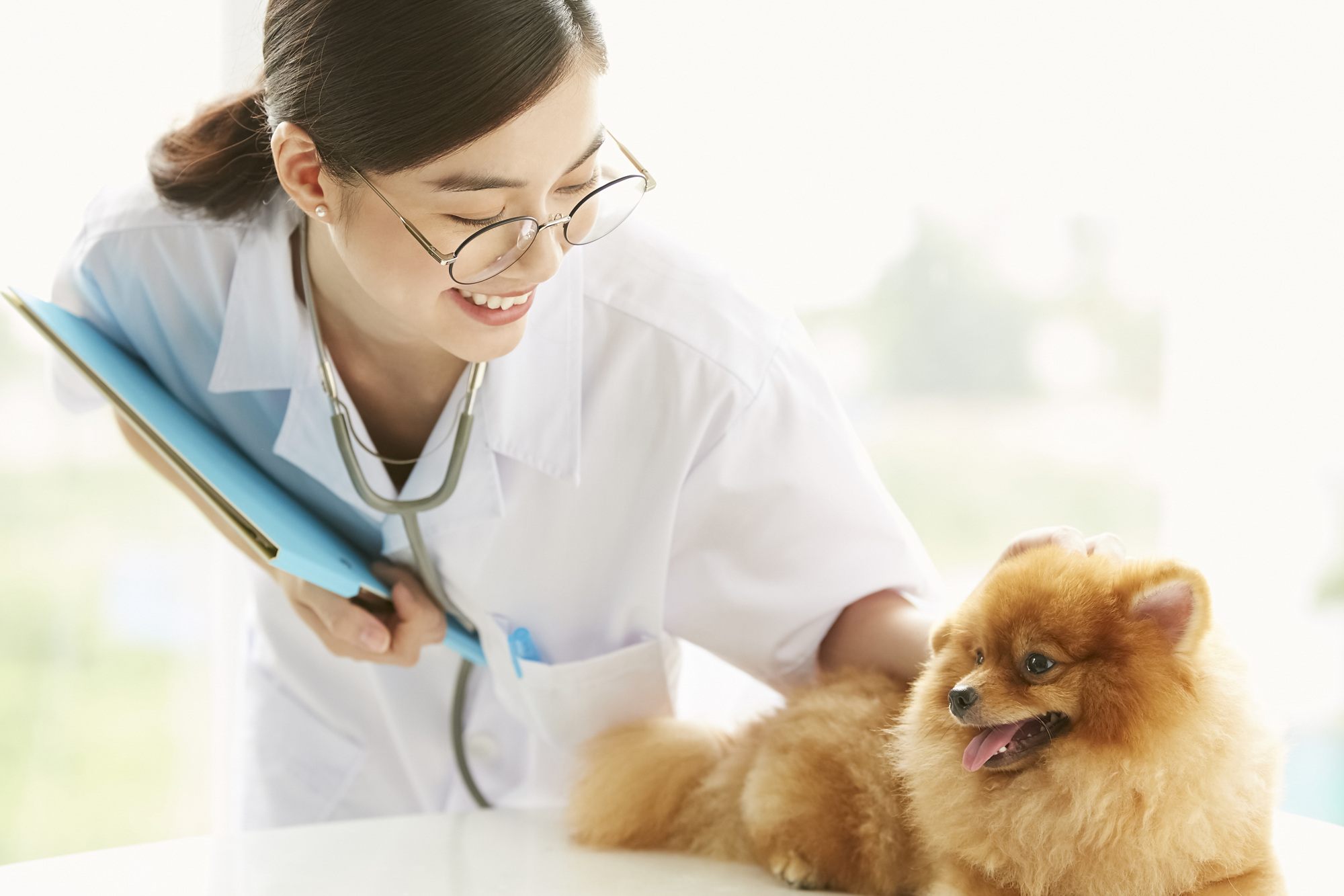 獣医学部の受験の強い味方！予備校の見つけ方